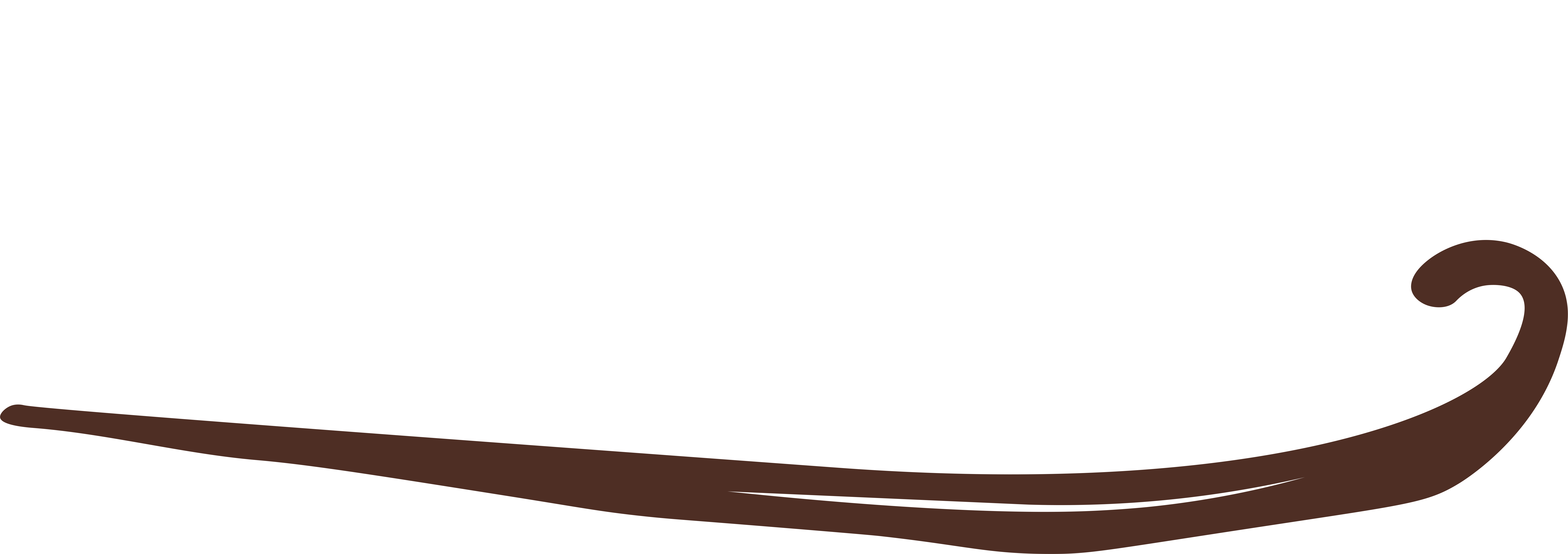 Logo Vanille Bourbon